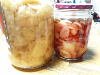 手作りガリ＆紅生姜