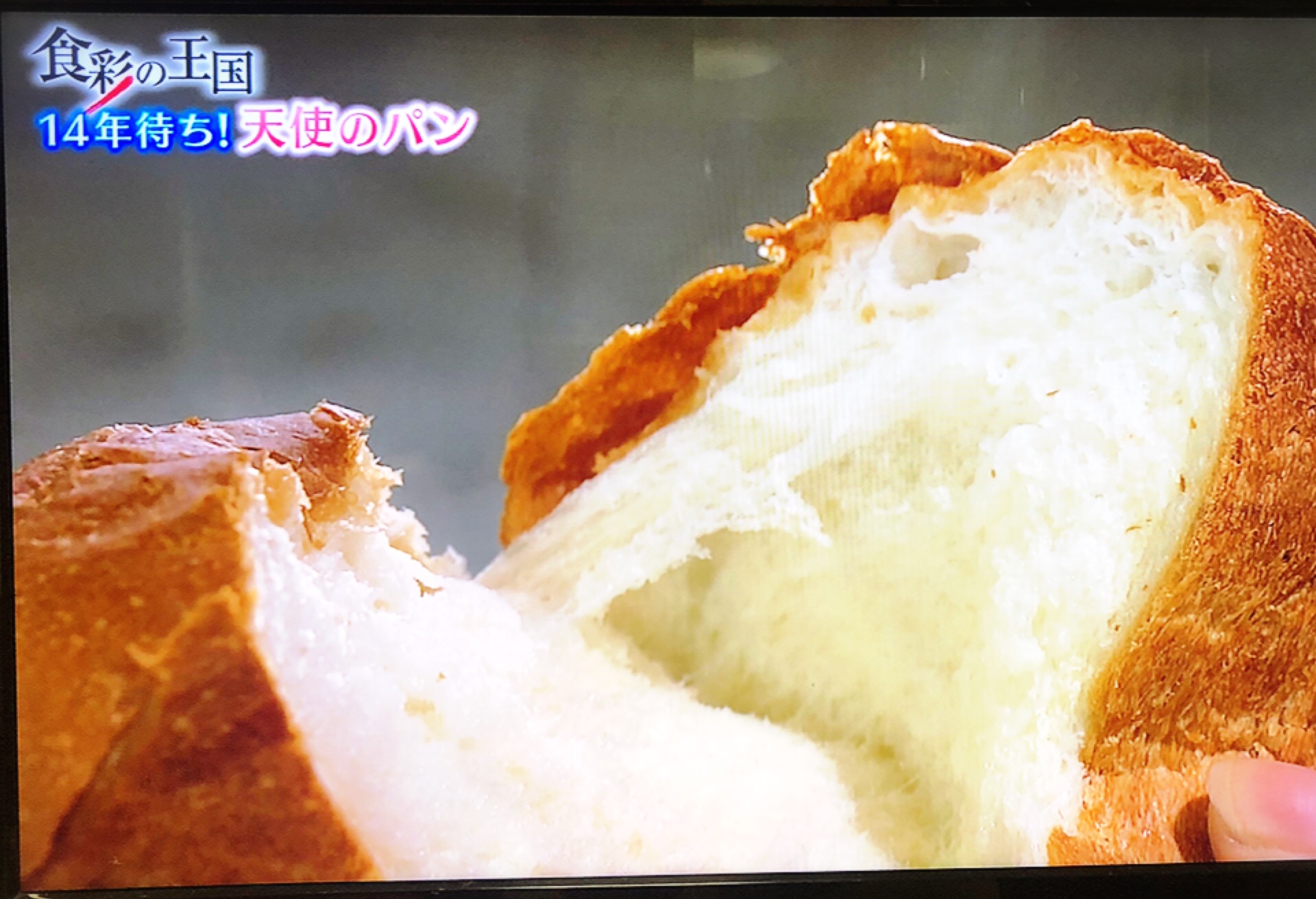 嫉妬に狂った天使のパン Studio Tsunakoisum